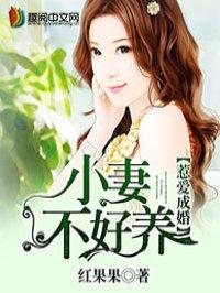 惹爱成婚by花榕全文阅读