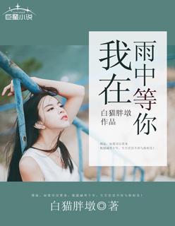 我在雨中等你DJ版